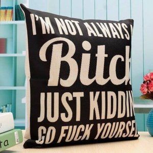 Novelty Pillow Cover